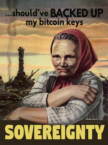 12-Bitcoin-Shouldve-Backup-web