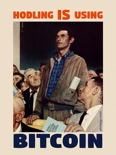 18-Bitcoin-Hodling-IS-Using-web