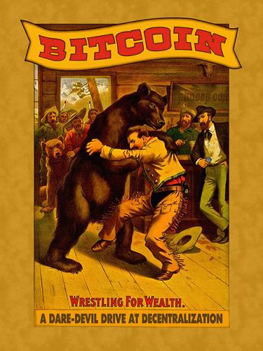 Bitcoin-Bear-Book