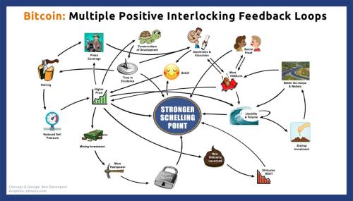 Bitcoin-Positive-Feedback-Loops