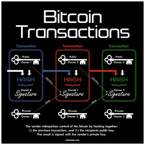 Bitcoin-TRXs-web-drk