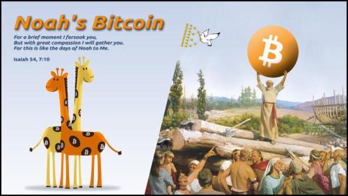 Noah's-Bitcoin